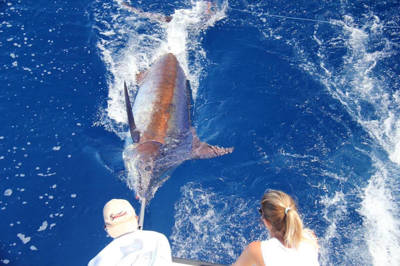 Willa Abrigo Da Madeira Arco da Calheta  Zewnętrze zdjęcie